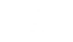 mini logo testimonial 4